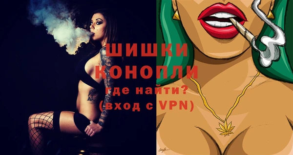 ГАЛЛЮЦИНОГЕННЫЕ ГРИБЫ Михайлов