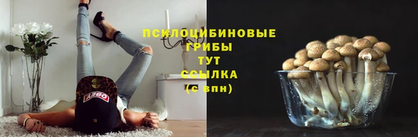 ГАЛЛЮЦИНОГЕННЫЕ ГРИБЫ Михайлов