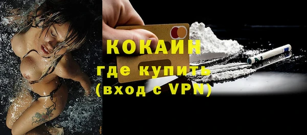 ГАЛЛЮЦИНОГЕННЫЕ ГРИБЫ Михайлов