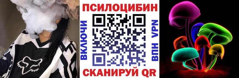Купить закладки Любань Псилоцибиновые грибы Cubensis
